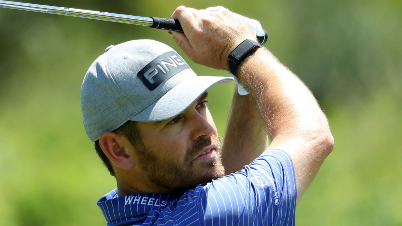 The putters as played by the world's top 20 golfers